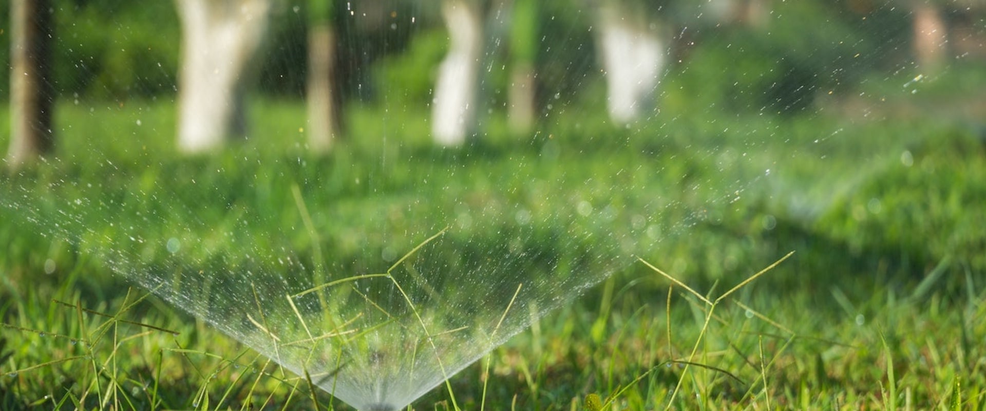 Why Every Home Remodel In Pembroke Pines Needs An Irrigation Winterization Company