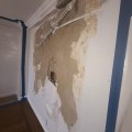 Preparing For A Successful Remodel: The Importance Of Mold Removal In Philadelphia