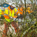 Creating Curb Appeal: Home Remodels In Dallas And The Importance Of Parking Lot Cleanup