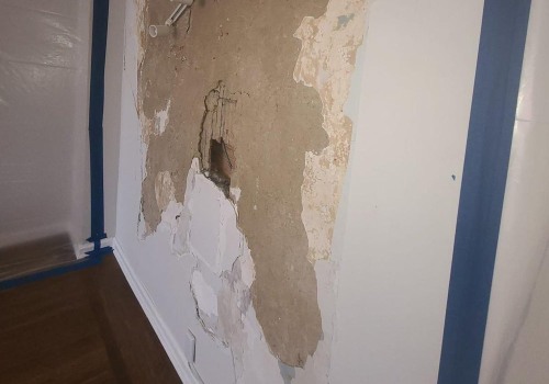 Preparing For A Successful Remodel: The Importance Of Mold Removal In Philadelphia