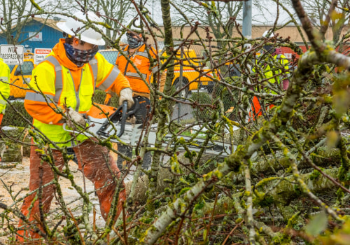 Creating Curb Appeal: Home Remodels In Dallas And The Importance Of Parking Lot Cleanup